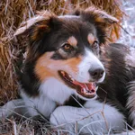 Portrait de Micki