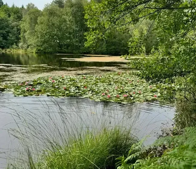 Lac à proximité du Domaine l'Angélus